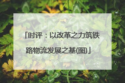 时评：以改革之力筑铁路物流发展之基(图)